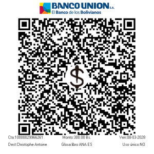 QR Pago