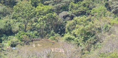 le sanctuaire Angelica
